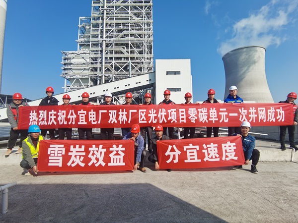 分宜电厂双林厂区光伏项目 