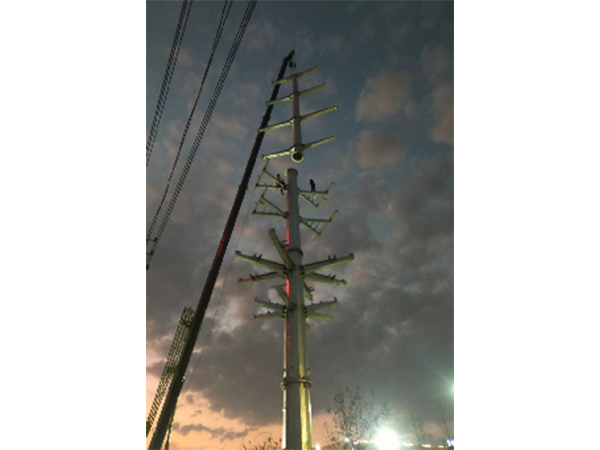 埠头-高兴、埠头-小山π入南外变110KV线路新建工程